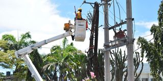 DNCOASTPOWER1011B (1)